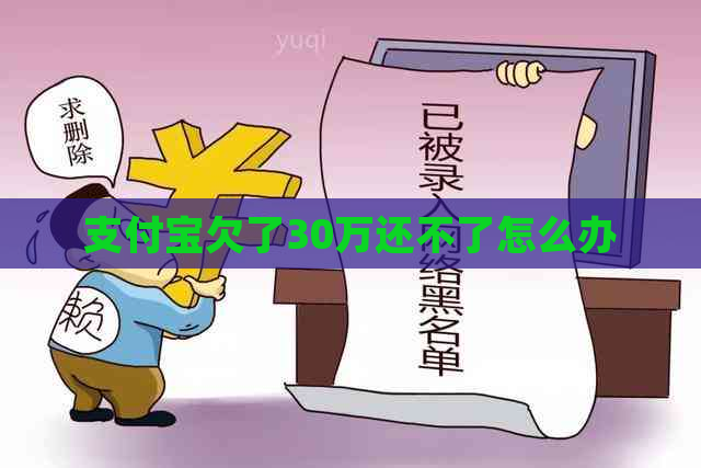 支付宝欠了30万还不了怎么办