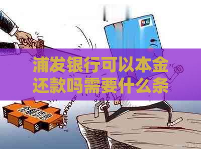 浦发银行可以本金还款吗需要什么条件