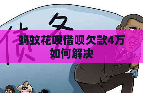 蚂蚁信用卡网贷欠款4万如何解决