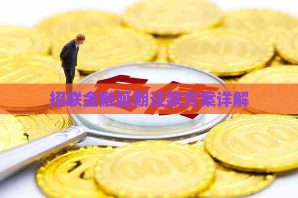 招联金融延期还款方案详解