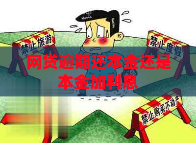 网贷逾期还本金还是本金加利息