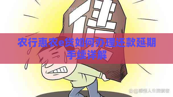 农行惠农e贷如何办理还款延期手续详解