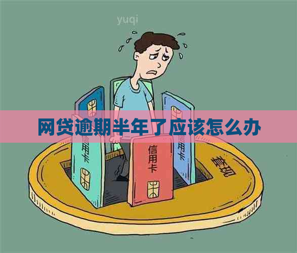 网贷逾期半年了应该怎么办