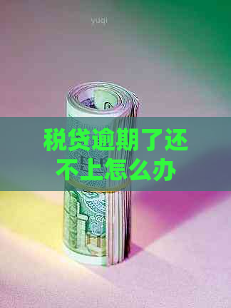 税贷逾期了还不上怎么办