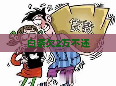 白条欠2万不还