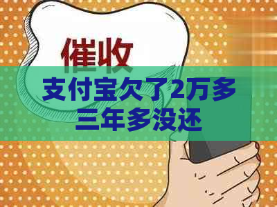 支付宝欠了2万多三年多没还