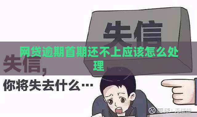 网贷逾期首期还不上应该怎么处理