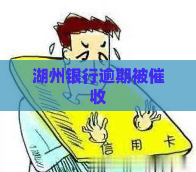 湖州银行逾期被