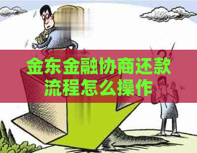 金东金融协商还款流程怎么操作