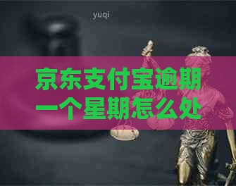 京东支付宝逾期一个星期怎么处理