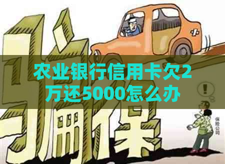 农业银行信用卡欠2万还5000怎么办