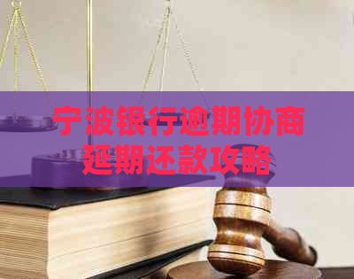 宁波银行逾期协商延期还款攻略