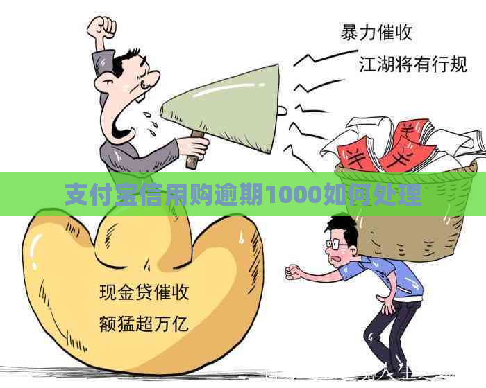 支付宝信用购逾期1000如何处理