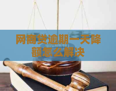 网商贷逾期一天降额怎么解决