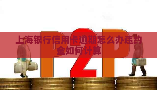 上海银行信用卡逾期怎么办违约金如何计算