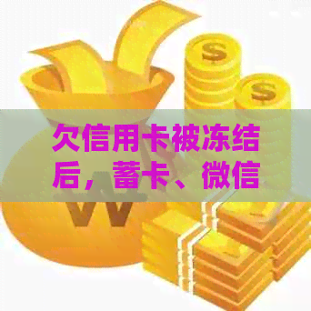 欠信用卡被冻结后，蓄卡、微信支付和银行卡解冻及恢复正常操作方法