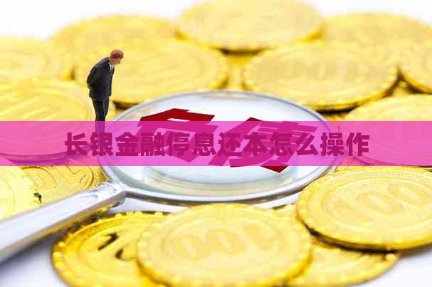 长银金融停息还本怎么操作