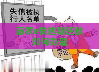 惠农e贷逾期还款如何办理