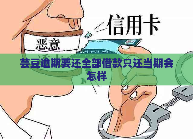 芸豆逾期要还全部借款只还当期会怎样