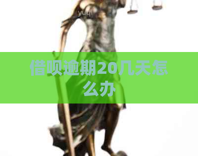 借呗逾期20几天怎么办