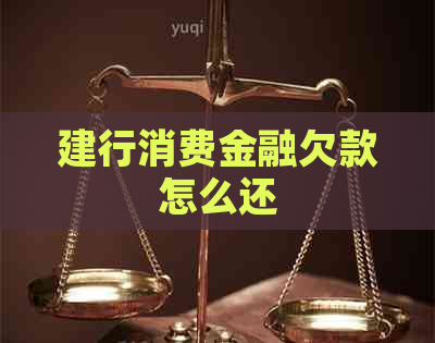 建行消费金融欠款怎么还