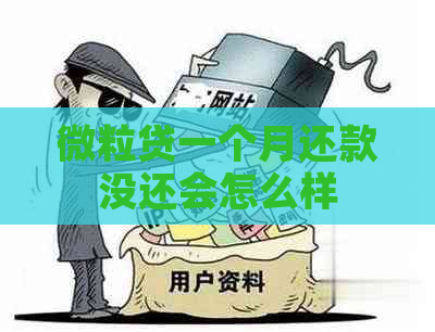 微粒贷一个月还款没还会怎么样