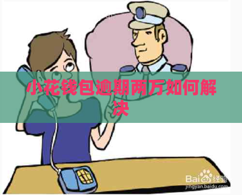 小花钱包逾期两万如何解决