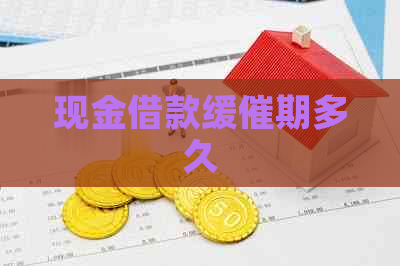 现金借款缓催期多久