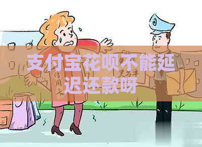 支付宝花呗不能延迟还款呀