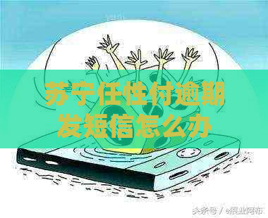 苏宁任性付逾期发短信怎么办