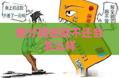 橙分期逾期不还会怎么样