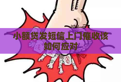 小额贷发短信上门该如何应对