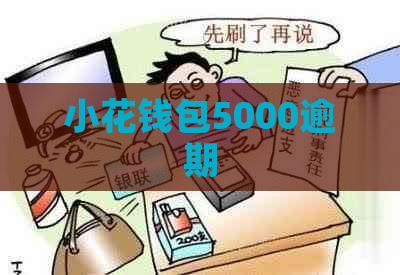 小花钱包5000逾期