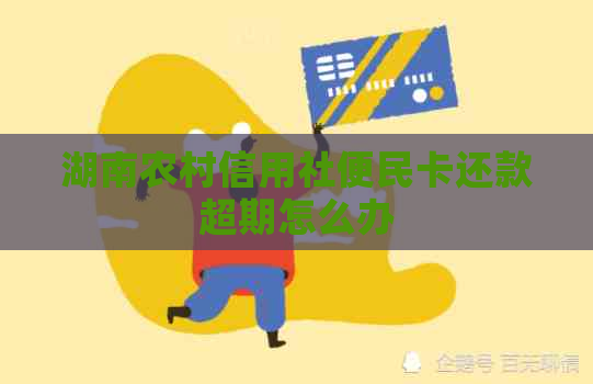 湖南农村信用社便民卡还款超期怎么办