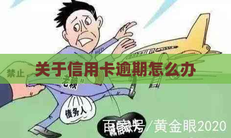 关于信用卡逾期怎么办