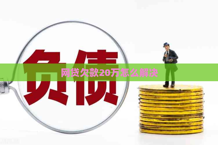 网贷欠款20万怎么解决