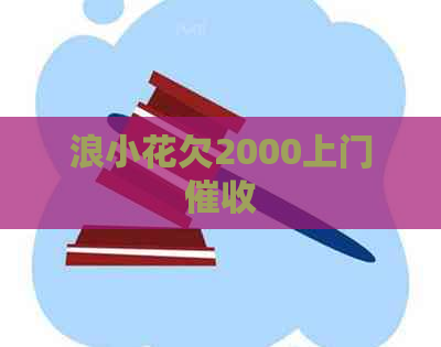 浪小花欠2000上门