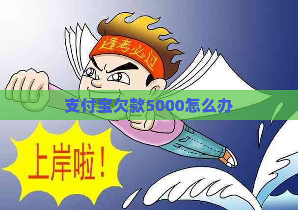 支付宝欠款5000怎么办