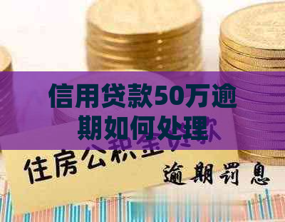 信用贷款50万逾期如何处理