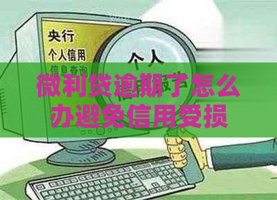 微利贷逾期了怎么办避免信用受损