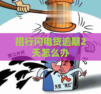 招行闪电贷逾期2天怎么办