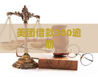 美团借款300逾期