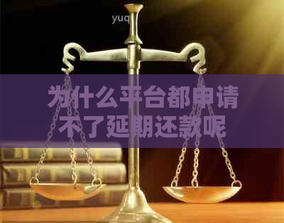 为什么平台都申请不了延期还款呢