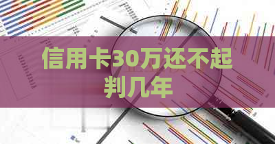 信用卡30万还不起判几年