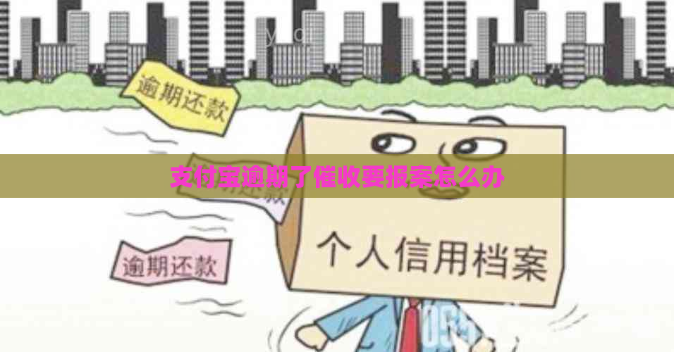 支付宝逾期了要报案怎么办