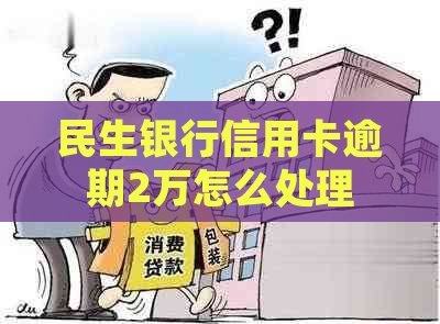 民生银行信用卡逾期2万怎么处理