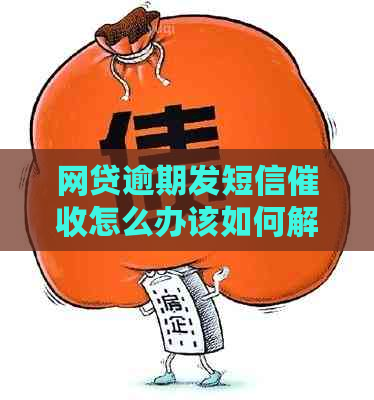 网贷逾期发短信怎么办该如何解决