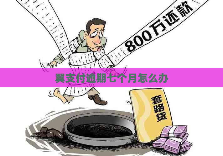 翼支付逾期七个月怎么办