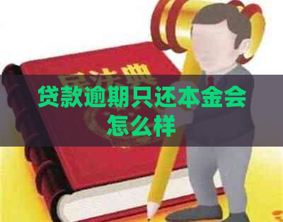 贷款逾期只还本金会怎么样