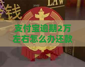 支付宝逾期2万左右怎么办还款方法有哪些